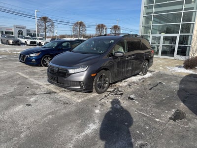 2024 Honda Odyssey Elite